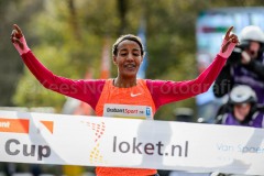 22-11-2015 Warandeloop Tilburg Nederland Atletiek foto: Kees Nouws /