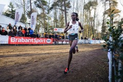 TILBURG, BREDA, 27-11-2016, Warandeloop, De Warande, Cross Country, Atletiek